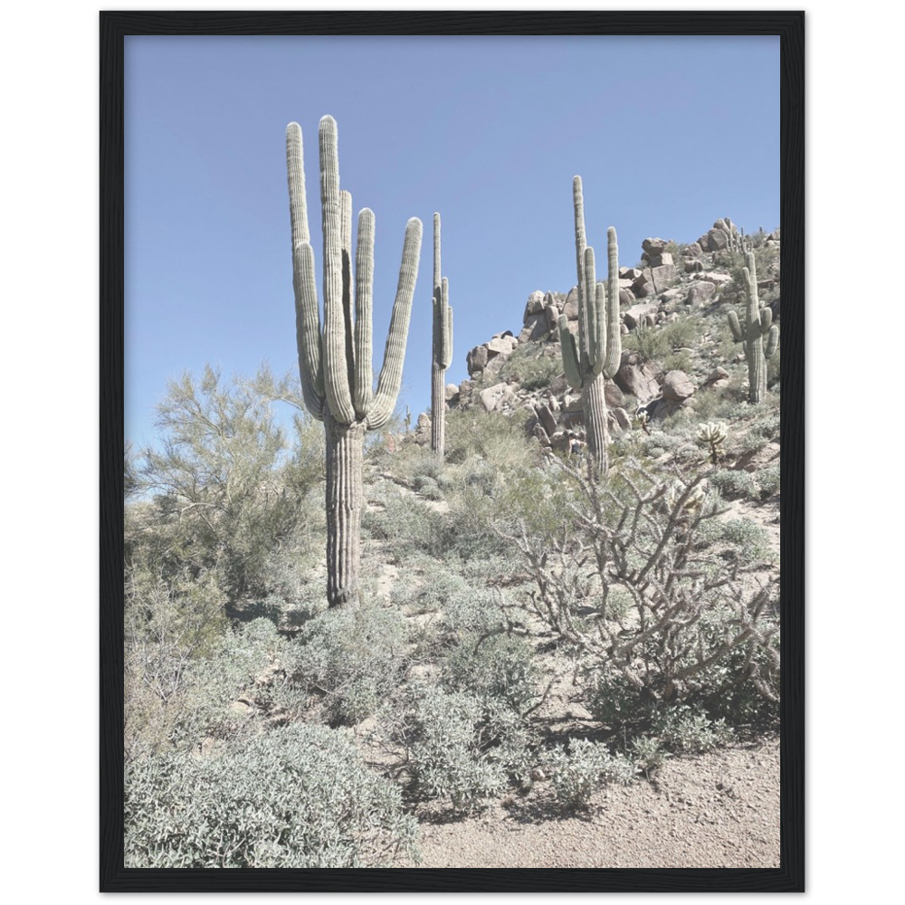 Arizona Desert Framed Photo Print