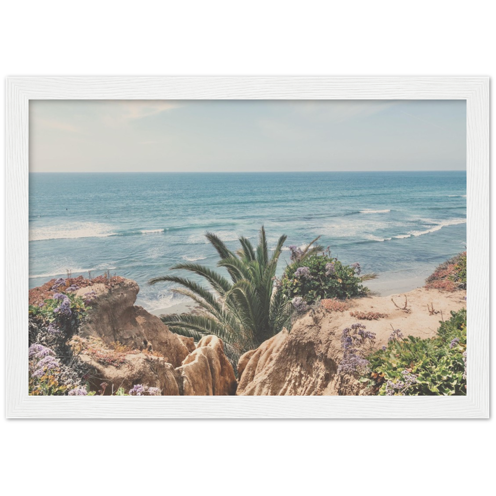 Del Mar, San Diego, California Beach Framed Photo Print