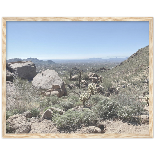 Arizona Desert Framed Photo Print